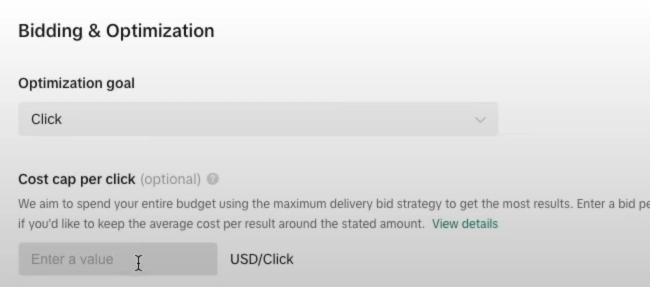 Setting TikTok Ad Budget- Bidding & Optimization Strategy