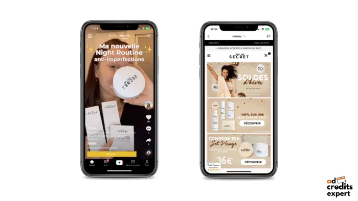 TikTok Ad In-Feed Ads