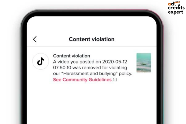 TikTok Ads - Inappropriate or Offensive Content