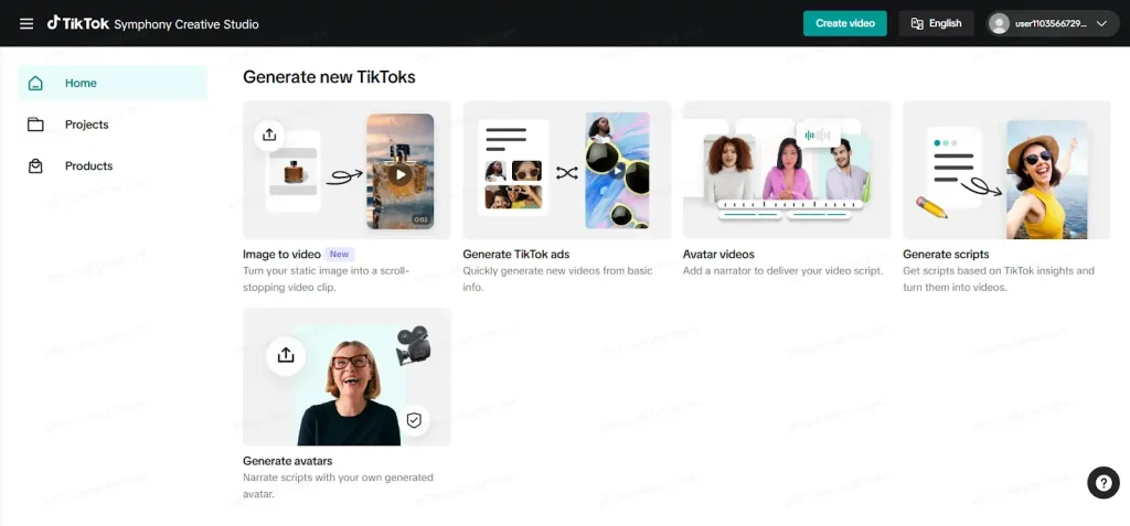 TikTok for Business - Symphony Assistant