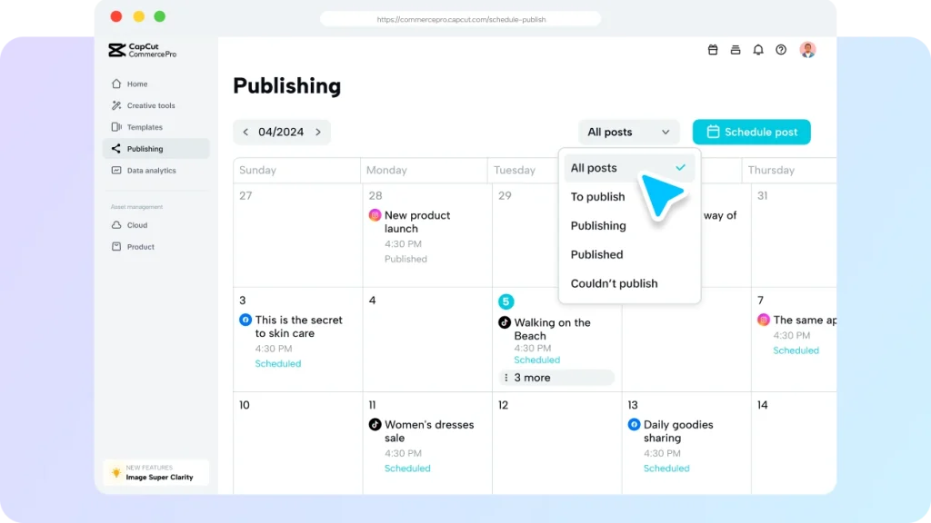 Auto-Publishing and Analytics with Pippit AI
