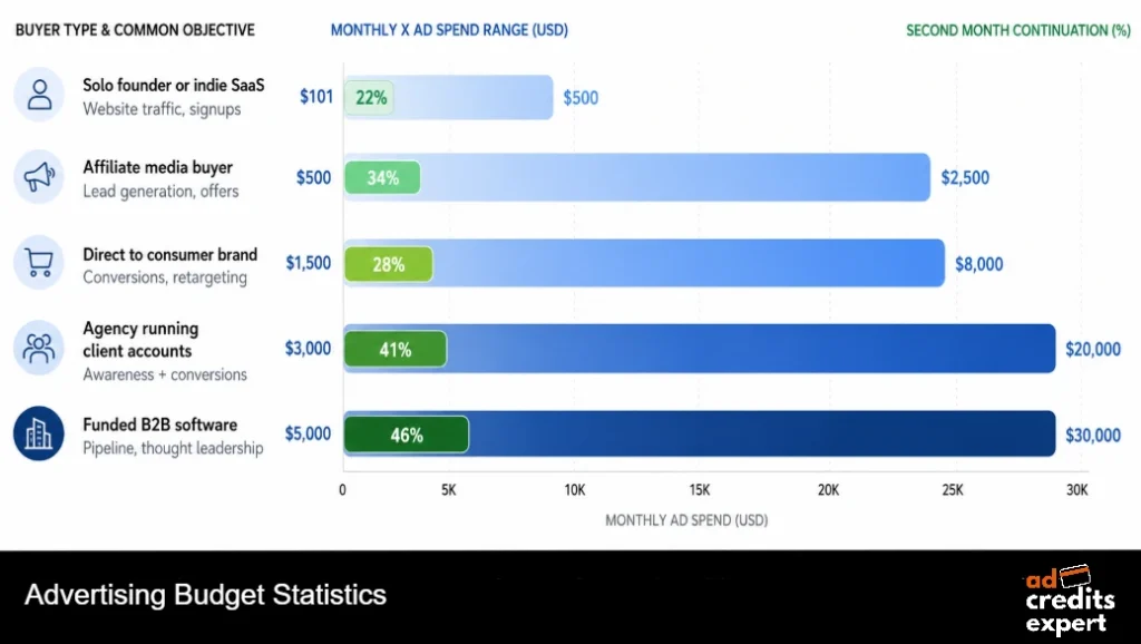 Advertising Budget Statistics