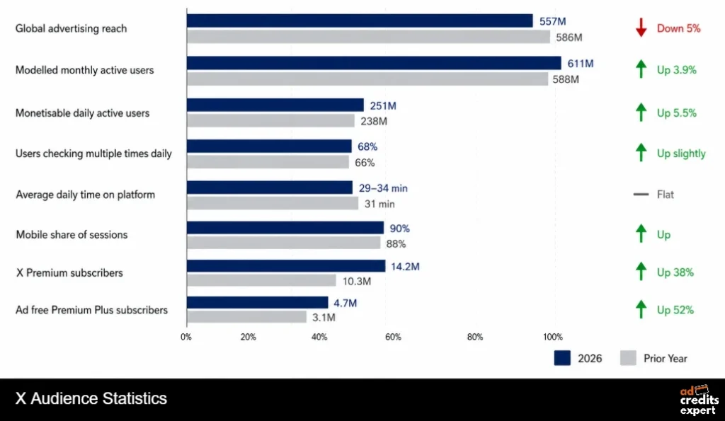X Audience Statistics